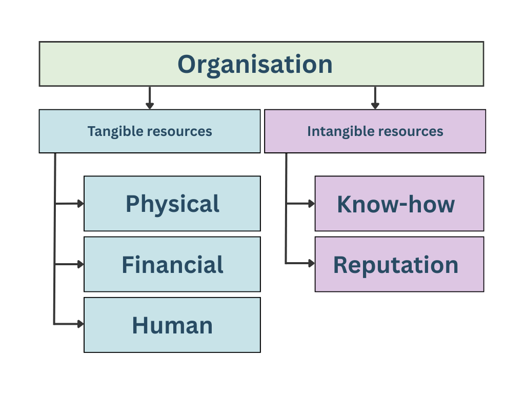 Resource audit business analysis technique